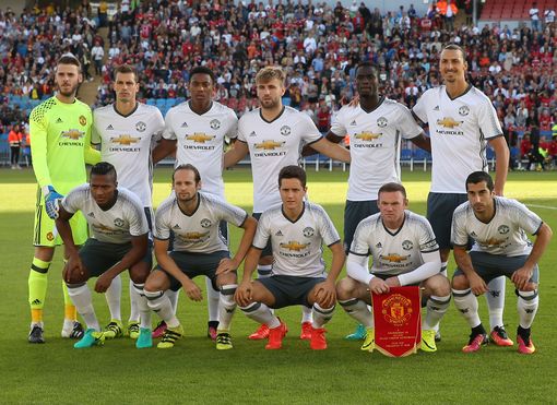 种更为专业 种更为专业